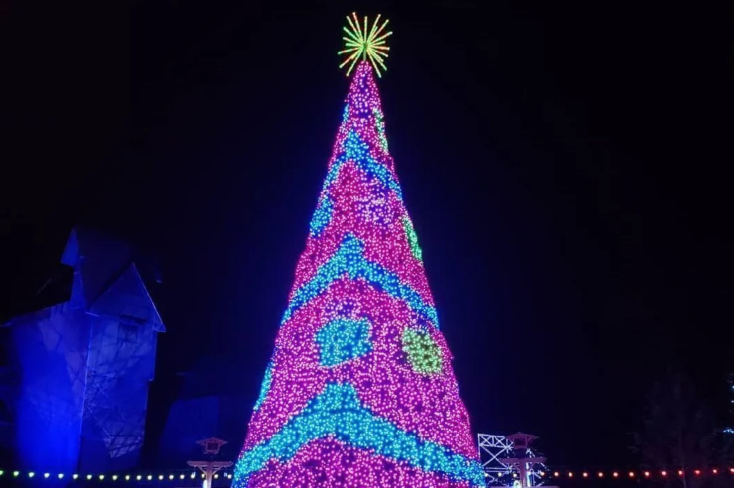 Hot Sale Customized Pre Lit Outdoor Giant Programming LED Light Tree Christmas with High Quality